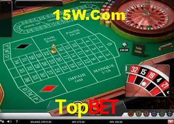 Sistemas de Segurança Topbet