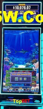 Experiência VIP Topbet
