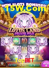 Estatísticas do Jogo Topbet